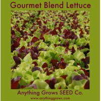 Lettuce - Gourmet Blend - Organic
